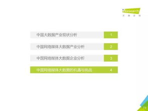 2016年中國數(shù)據(jù)驅(qū)動(dòng)型互聯(lián)網(wǎng)企業(yè)大數(shù)據(jù)產(chǎn)品研究報(bào)告 工業(yè)互聯(lián)網(wǎng)數(shù)據(jù)服務(wù)的關(guān)鍵態(tài)勢與啟示
